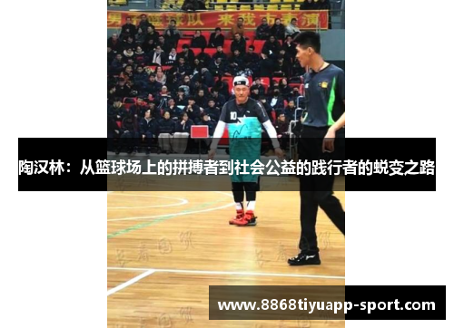 陶汉林：从篮球场上的拼搏者到社会公益的践行者的蜕变之路